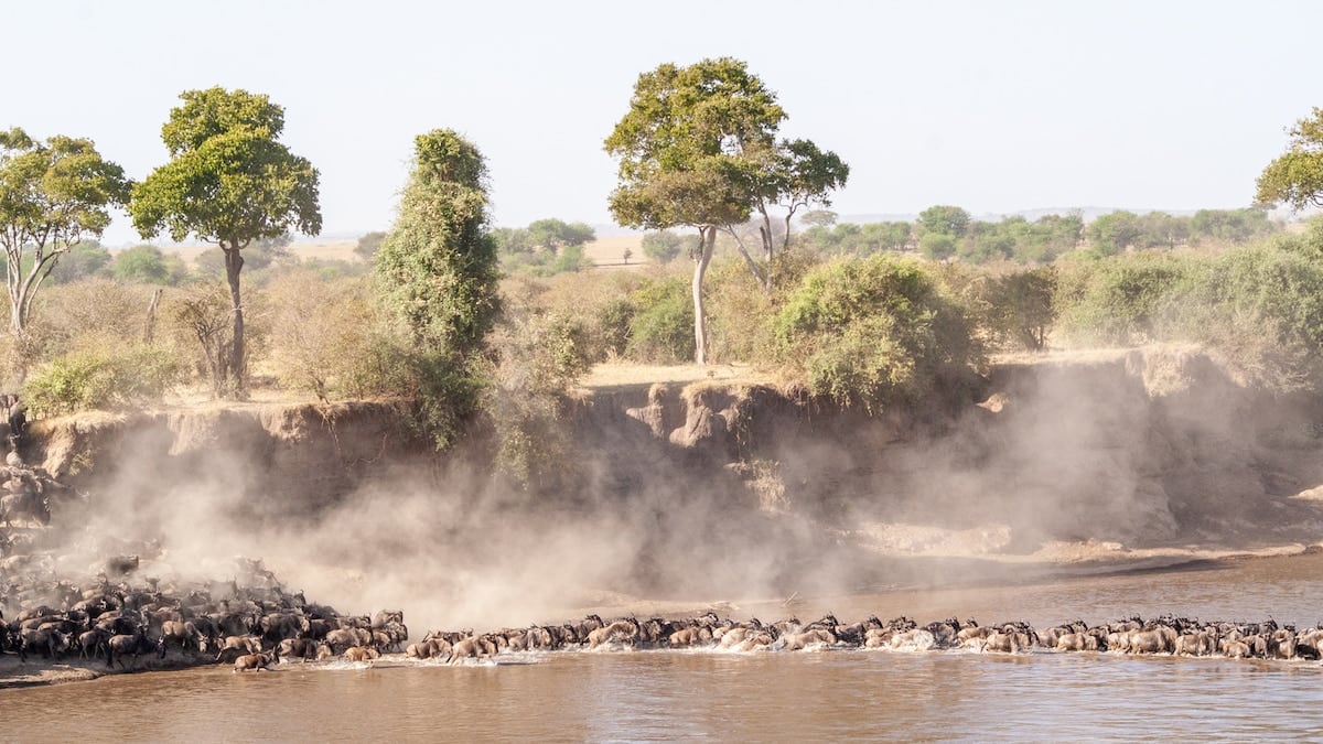 Tres parques, una gran migración y aldeas que sobreviven al turismo: el norte de Tanzania, parque por parque
