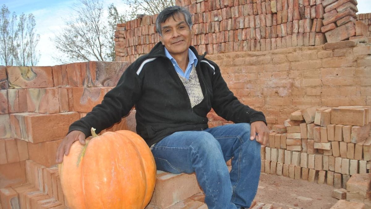 Mariano Moreno reabre la inscripción a Ciudad Zapallo y regala las semillas para empezar la huerta en casa
