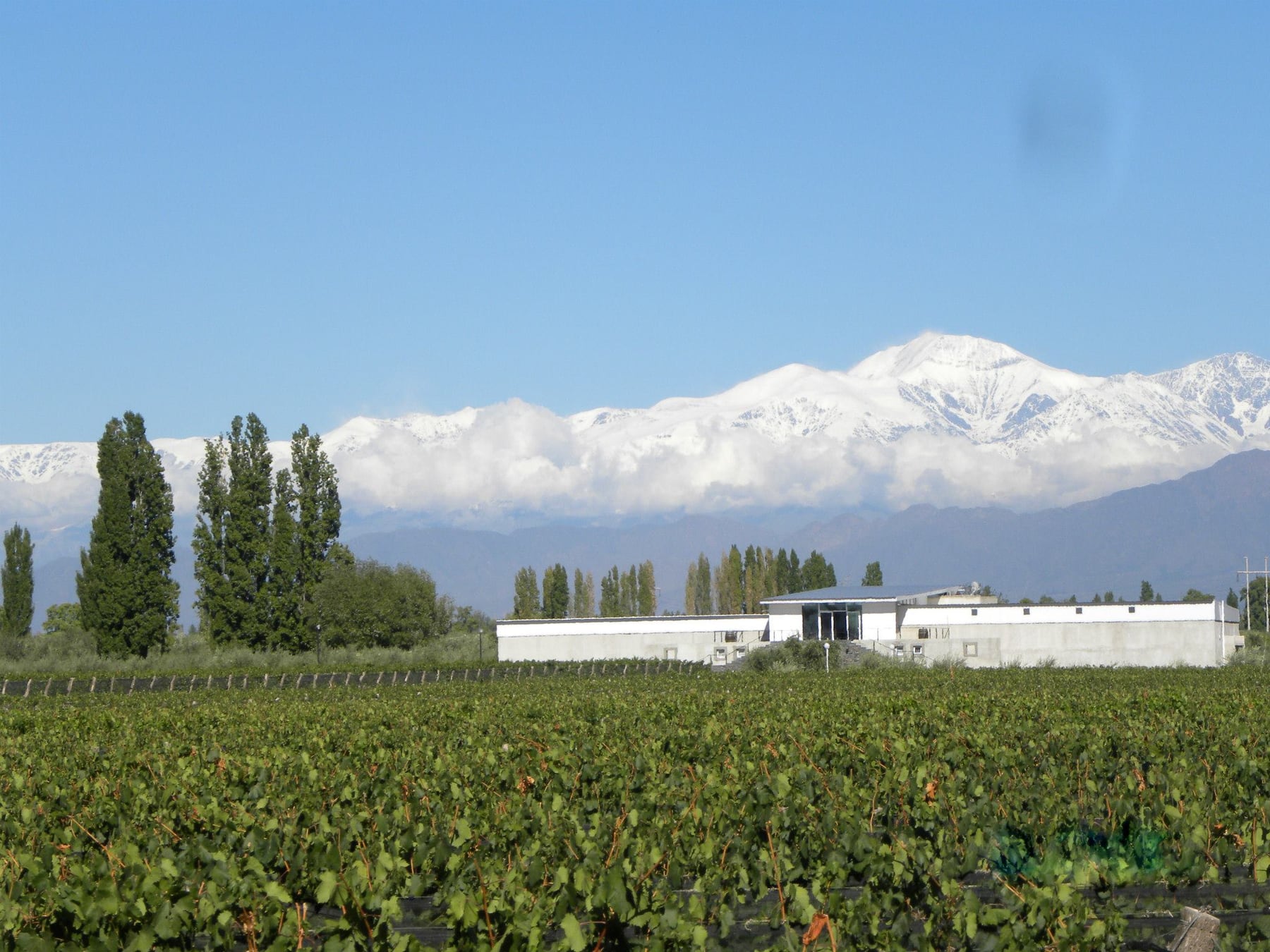 Chacras de Coria consolida su transformación y suma hotelería de excelencia, gastronomía de autor y festivales internacionales a pocos kilómetros de la capital mendocina