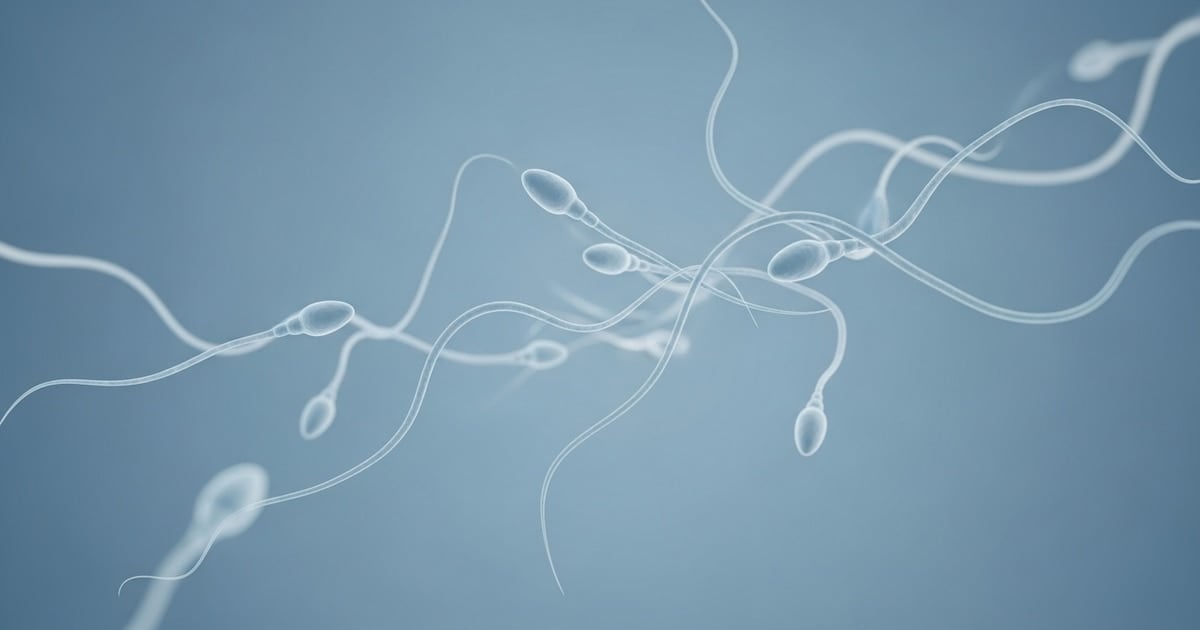 Un equipo británico reimplanta tejido testicular criopreservado en un joven de 19 años y abre un nuevo capítulo para la fertilidad masculina posquimioterapia