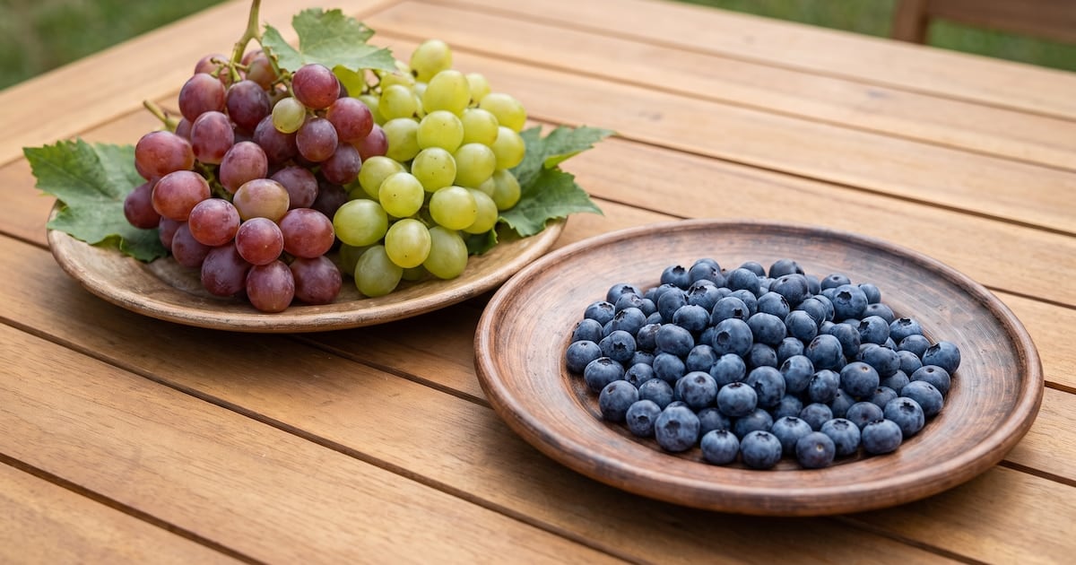Arándanos y uvas frente a la glucosa: por qué la fibra marca la diferencia y cómo incluirlas sin disparar el azúcar en sangre