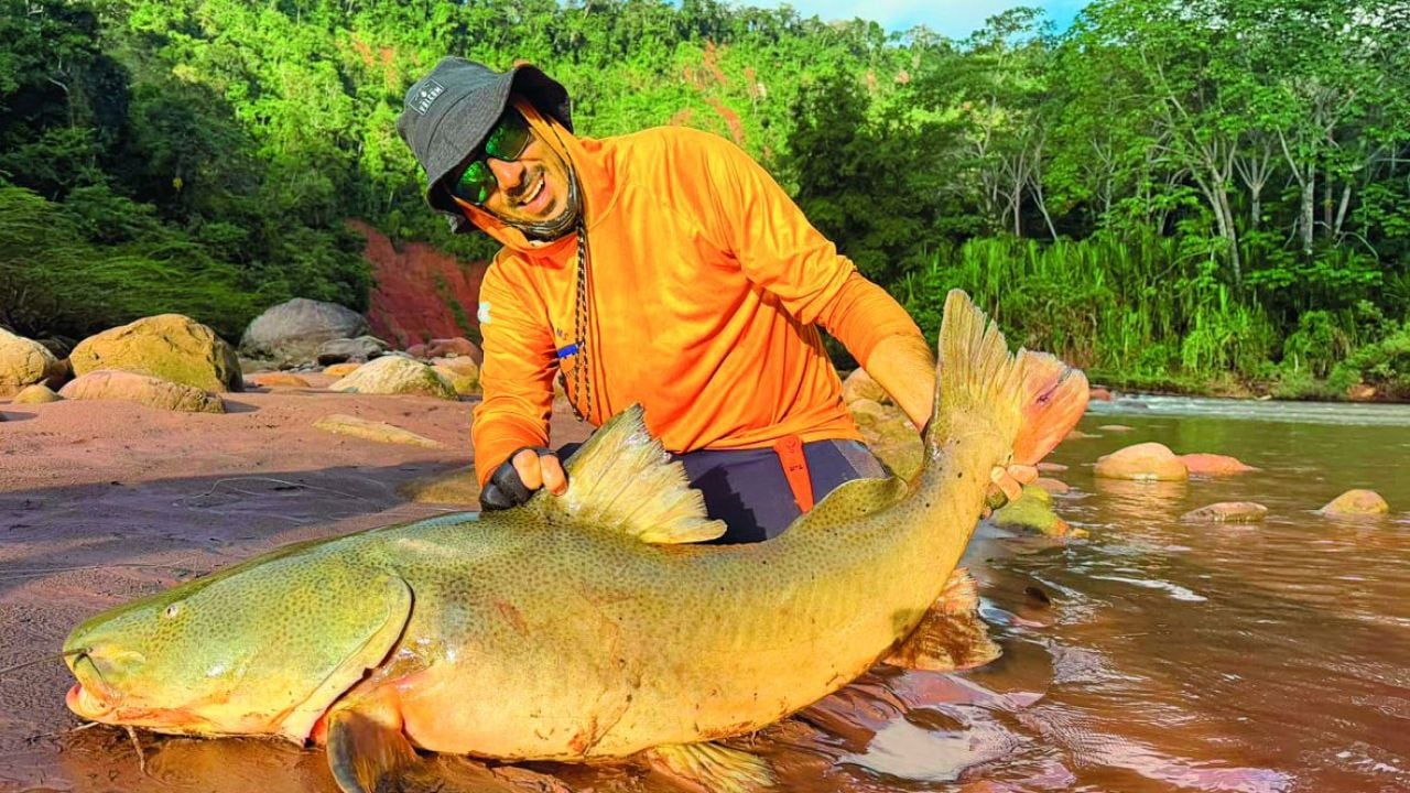 La Amazonia boliviana se pesca con permiso de los peces: 350 kilometros de rio, quince especies y la obligacion de devolver todo al agua