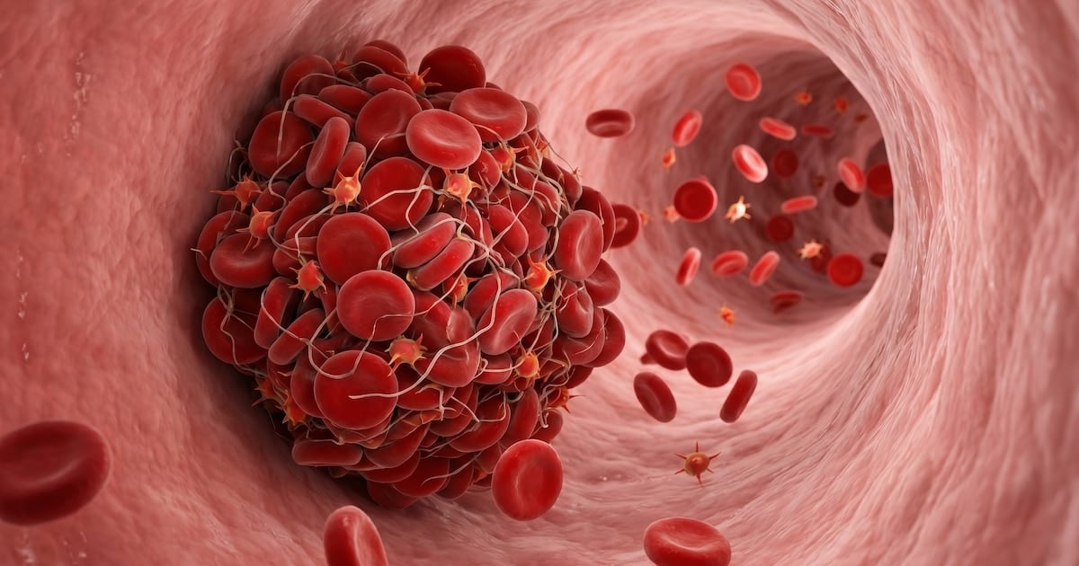 Cuando la sangre se detiene: las cuatro señales del cuerpo que pueden salvar una vida