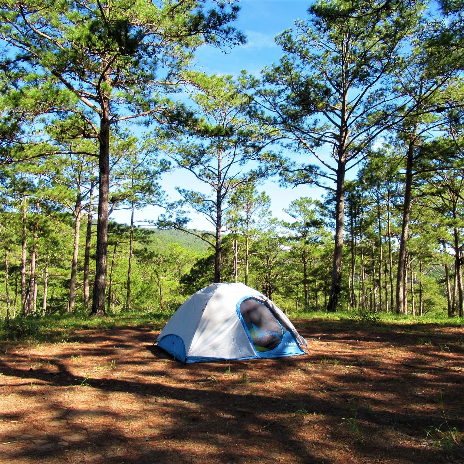 Huttopia desembarca en Mar Azul con un camping de 55 hectáreas y tarifas que arrancan en 36.000 pesos la noche