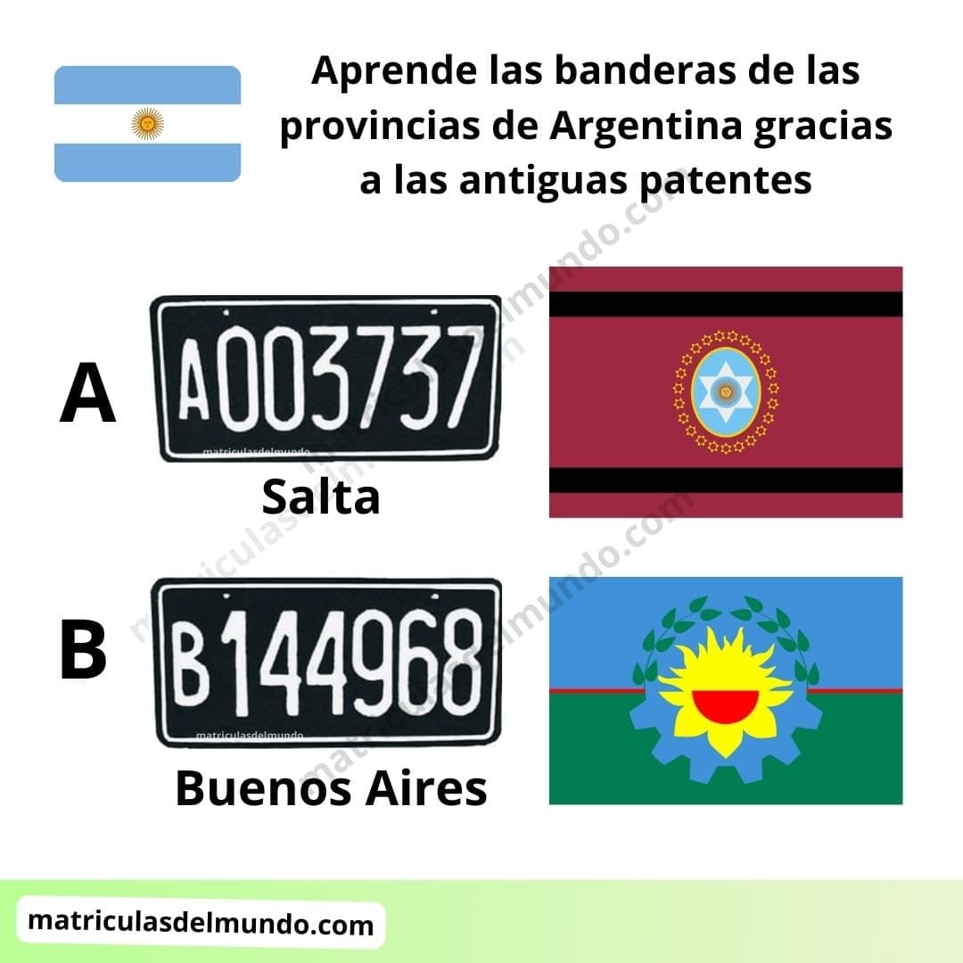La patente muestra cuándo nació el auto: así se lee su antigüedad