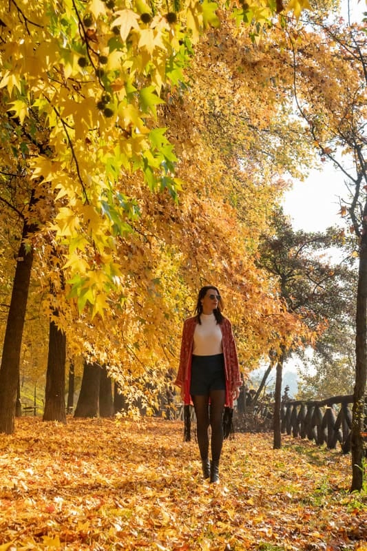 El otoño europeo abre una ventana para recorrer doce capitales sin las multitudes del verano